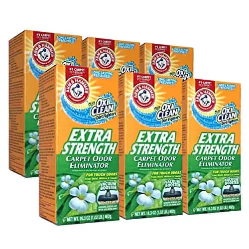Best Odor Eliminator for Carpet