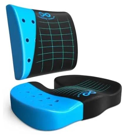Best Lumbar Support Cushion for Car