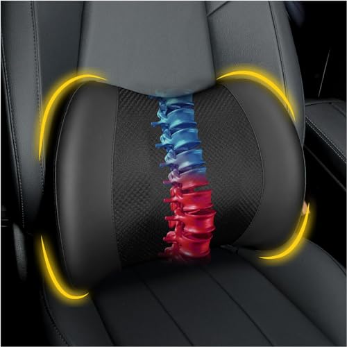 Best Car Lumbar Support Pillow