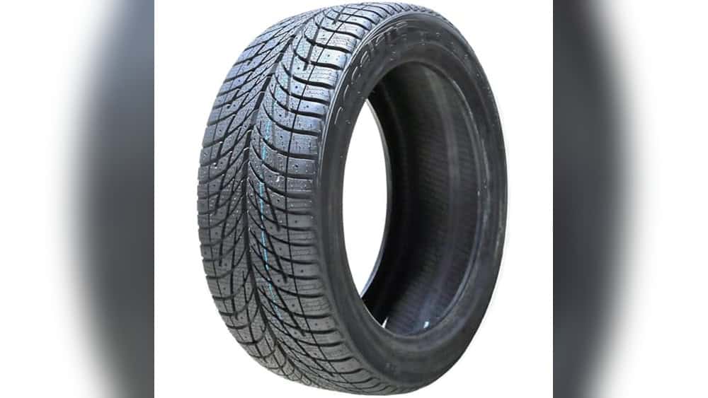 Best Dog Ramp for Large Dogs