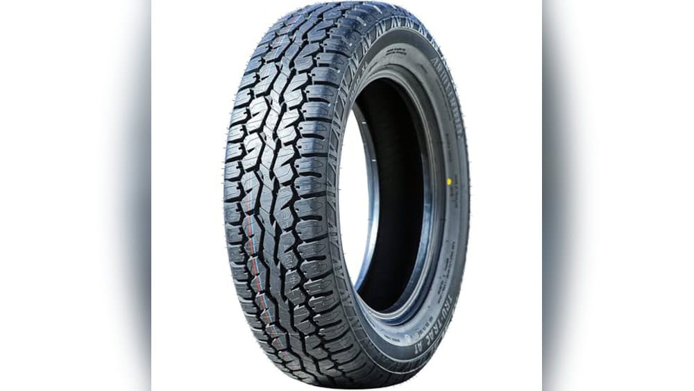 Best Dog Ramp for Large Dogs