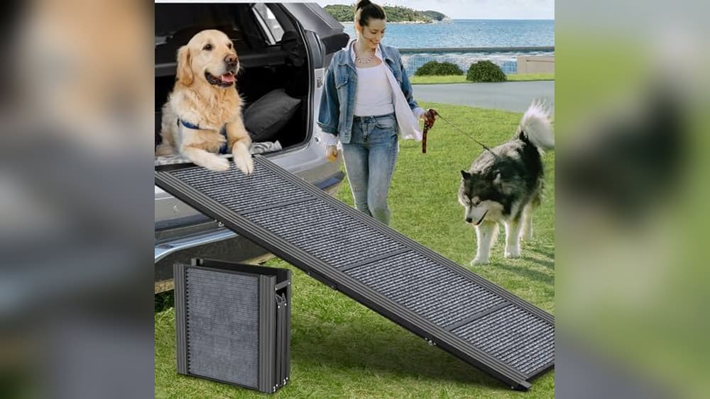 Best Dog Ramp for Large Dogs