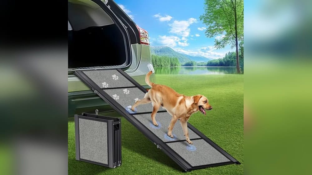 Best Dog Ramp for Large Dogs